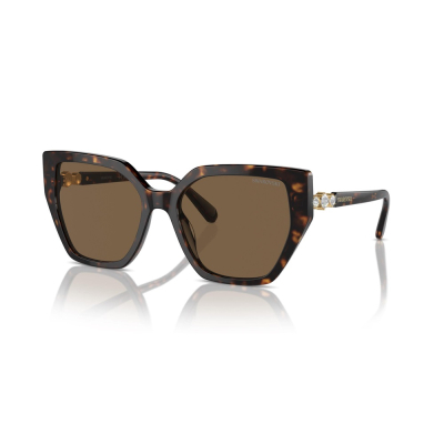 SWAROVSKI SK6016 1002/7356 Güneş Gözlüğü