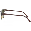 Ray-Ban RB3016 W0366 51 Clubmaster Güneş Gözlüğü