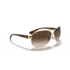Ray-Ban RB3386 001/13 63 Güneş Gözlüğü