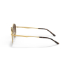 Ray-Ban RB3681 001/13 50 Güneş Gözlüğü