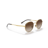 Ray-Ban RB3681 001/13 50 Güneş Gözlüğü