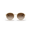 Ray-Ban RB3681 001/13 50 Güneş Gözlüğü