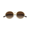 Ray-Ban RB3681 001/13 50 Güneş Gözlüğü