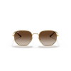 Ray-Ban RB3682 001/13 51 Güneş Gözlüğü