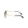 Ray-Ban RB3741 9213/6V 56 Emy Güneş Gözlüğü