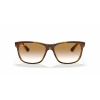 Ray-Ban RB4181 710/51 57 Güneş Gözlüğü