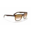 Ray-Ban RB4181 710/51 57 Güneş Gözlüğü