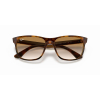 Ray-Ban RB4181 710/51 57 Güneş Gözlüğü